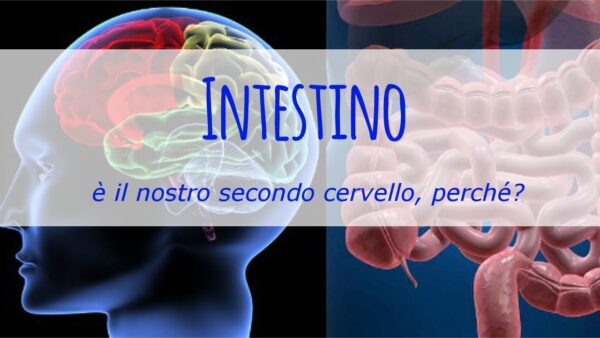 CIBO E MENTE